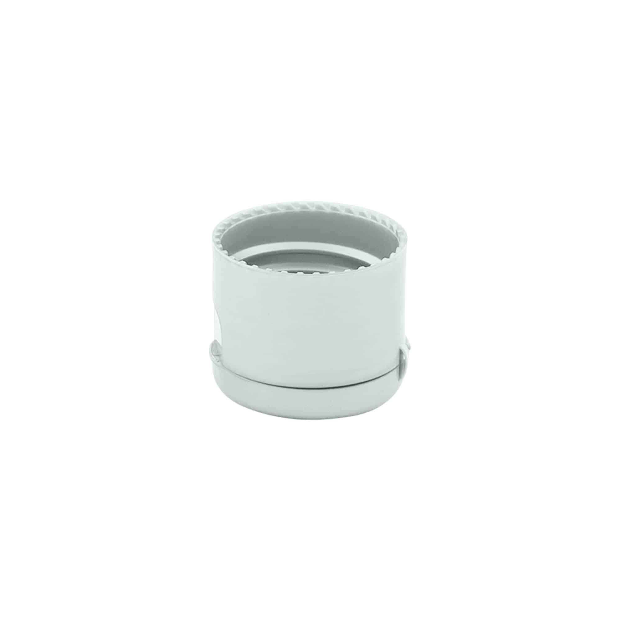 Tappo a vite con cerniera a ribalta, plastica PP, argento, per bocca: 24/410