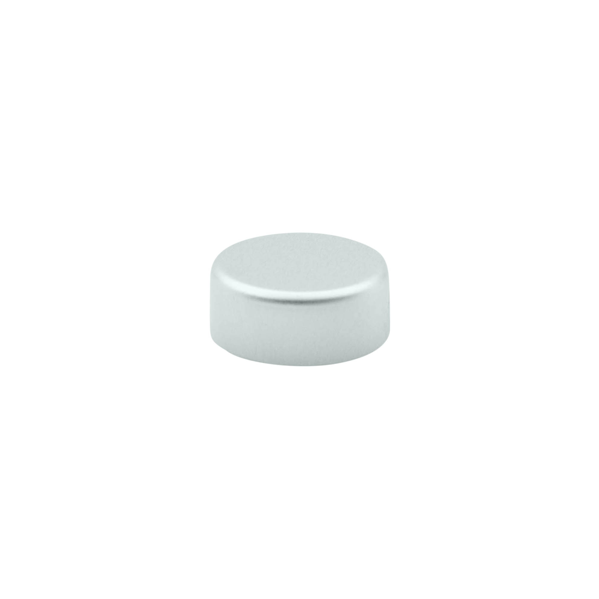 Tappo a vite, plastica ABS, argento, per bocca: GPI 22/400