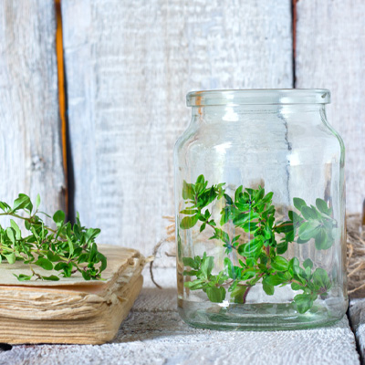 Immagine d'atmosfera: un barattolo con tappo a vite è pieno di erbe