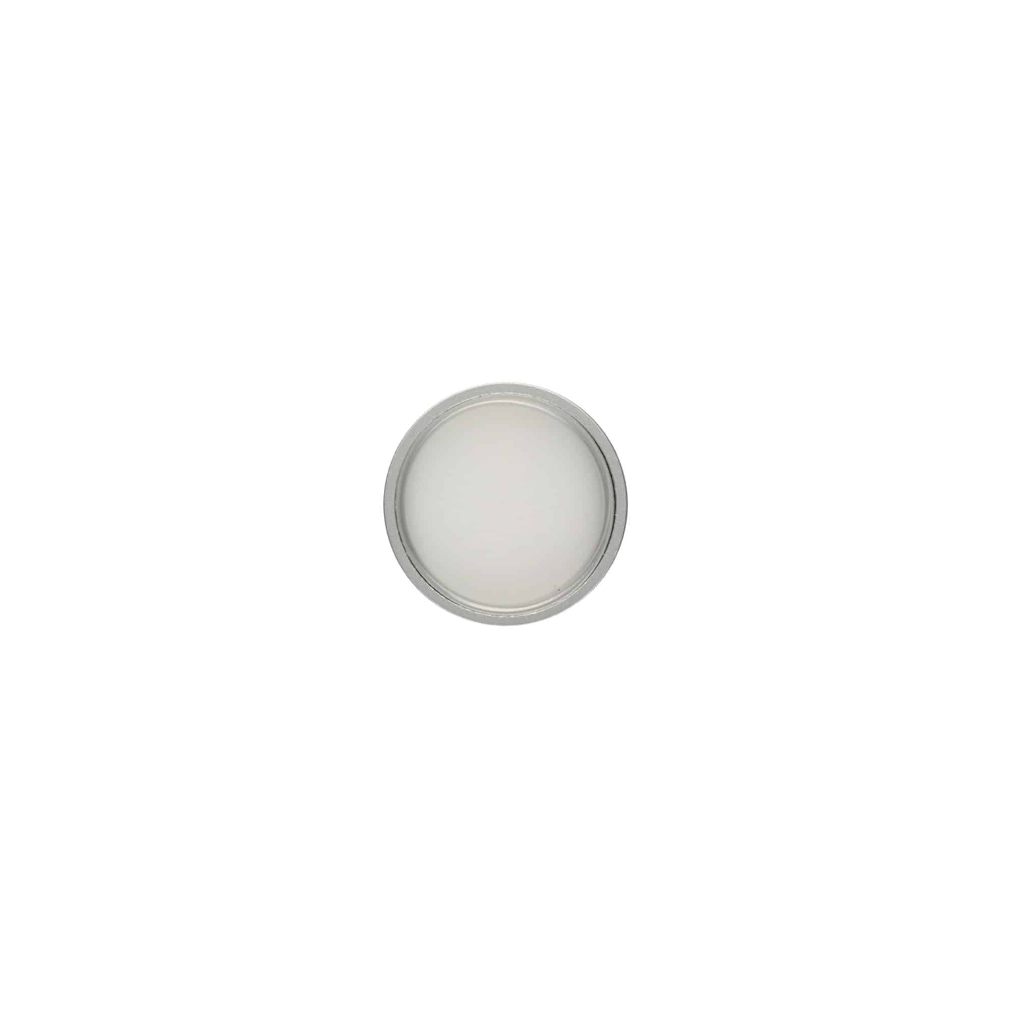 Tappo a vite, plastica ABS, argento opaco, per bocca: GPI 33/400