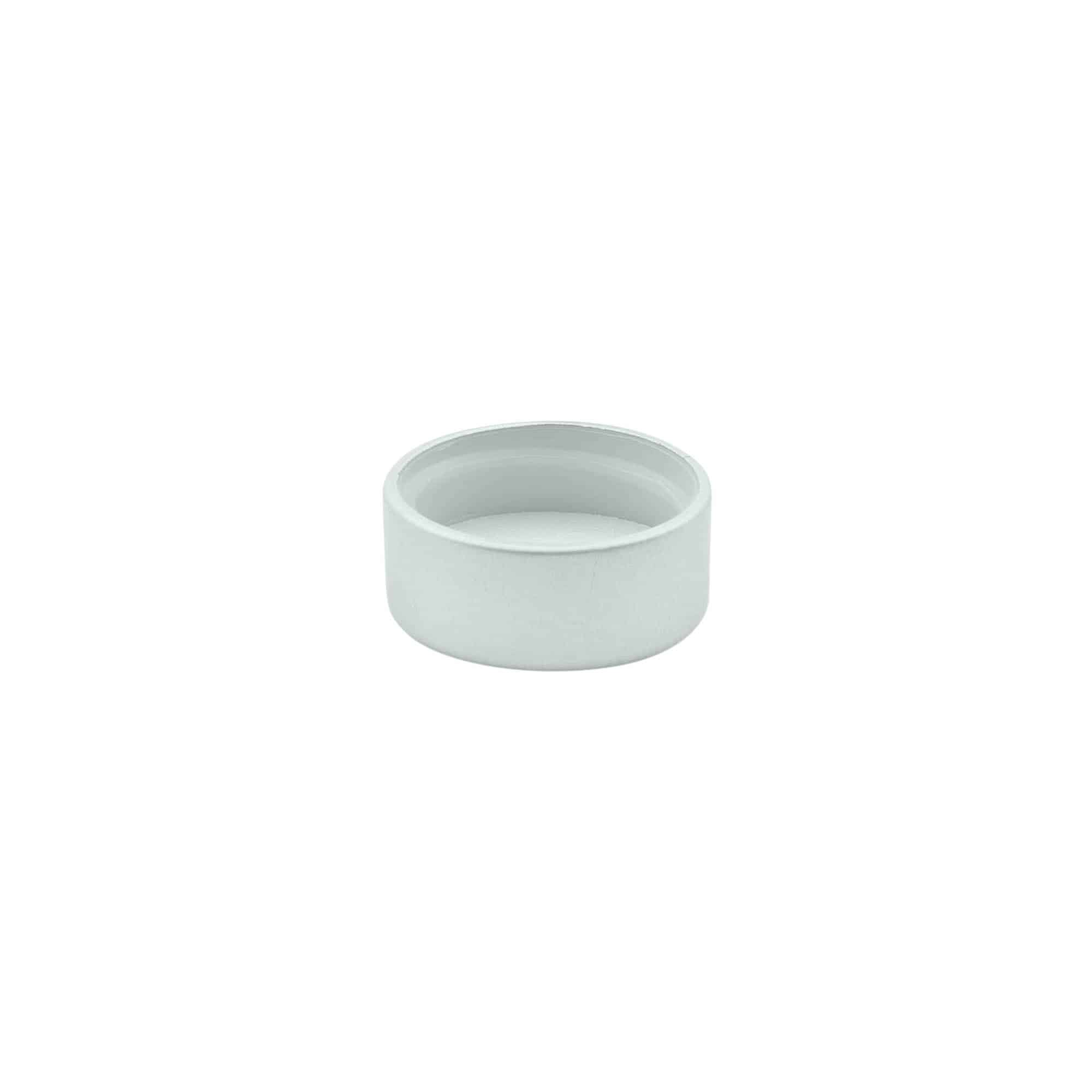 Tappo a vite, plastica ABS, argento, per bocca: GPI 22/400